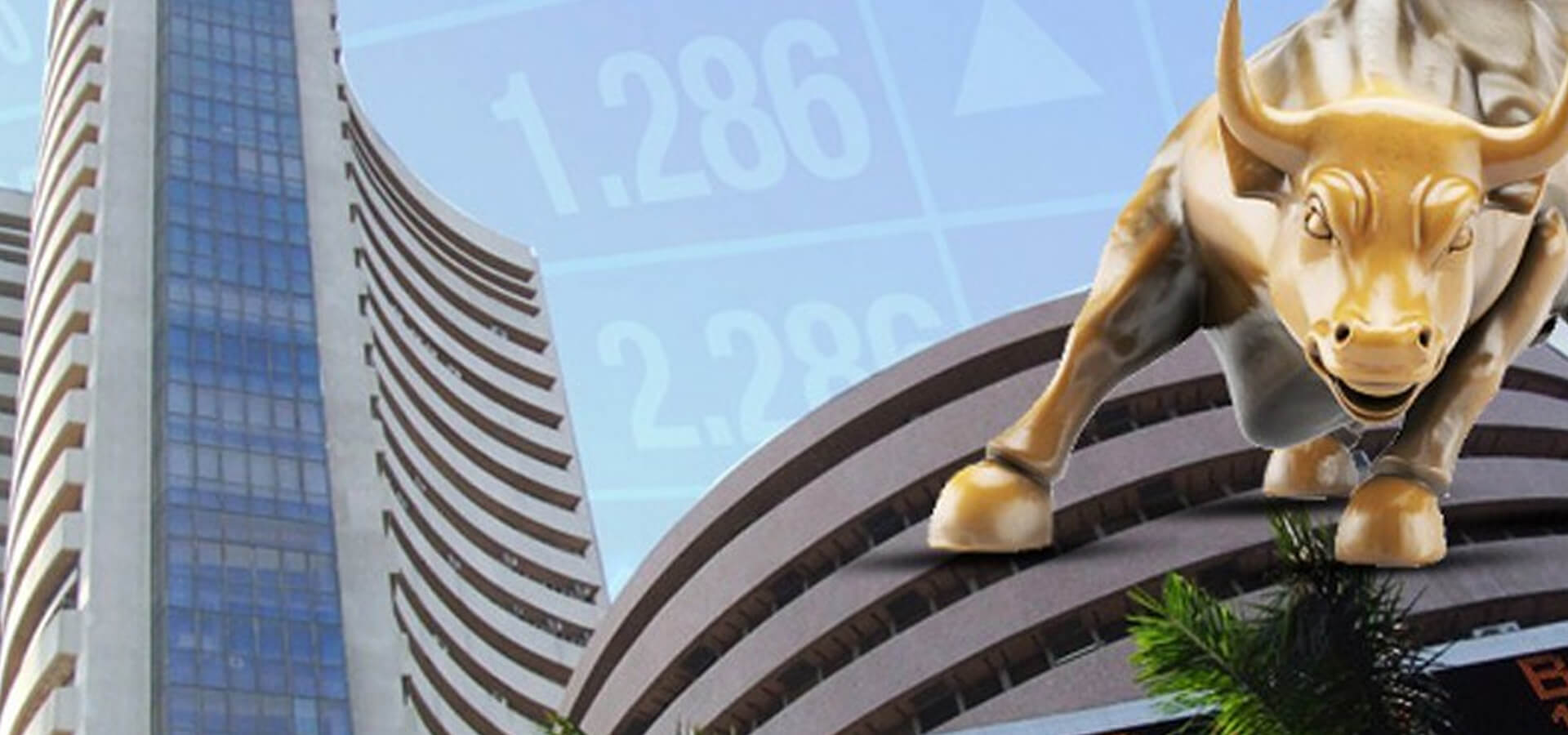 Puntbull ONLINE CLASSES